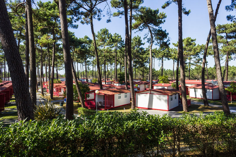 Parque De Campismo Orbitur Sao Pedro De Moel Hotel Exterior foto